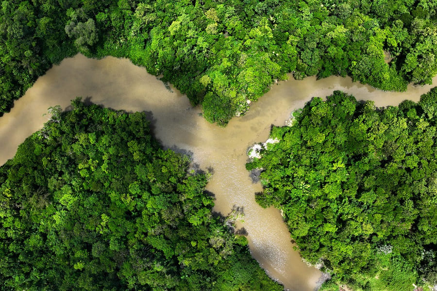 Deforestation in the Brazilian Amazon has been reduced by 40%