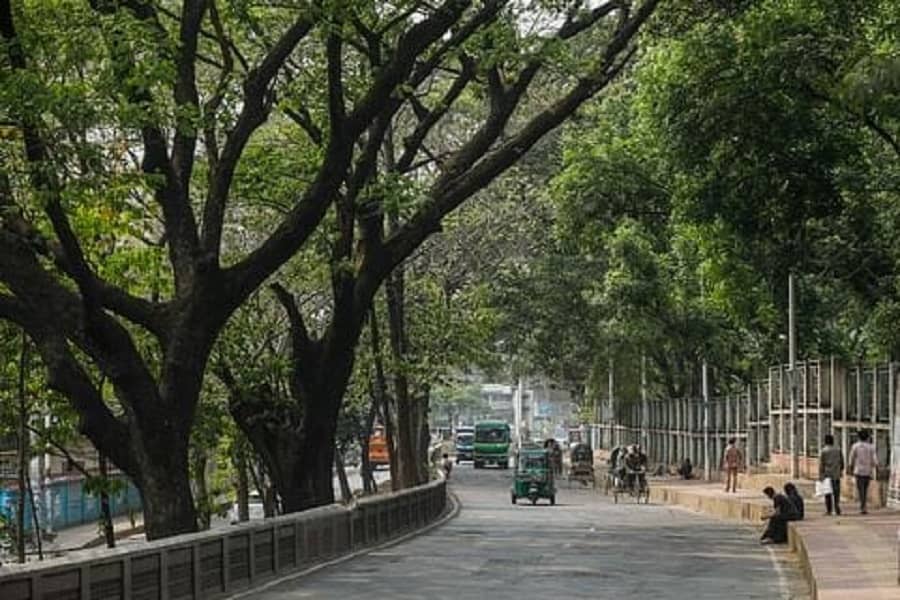 Ramp walk cannot be built by felling trees: Home Ministry
