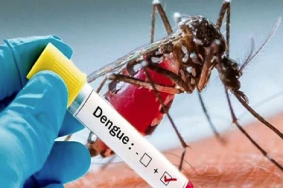 Dengue: Dengue outbreak is increasing in Bangladesh, doctors are worried