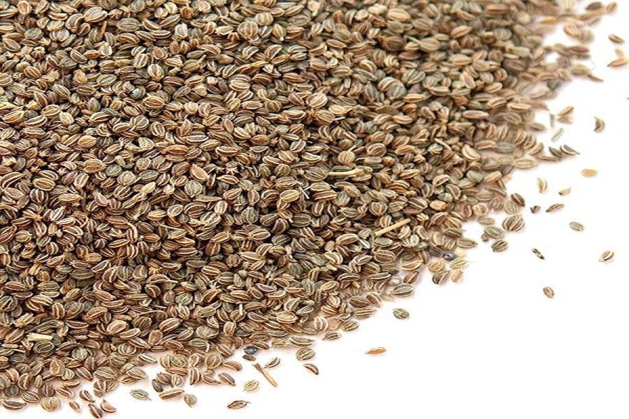 Do you know the nutritional value of the Celery Seeds?