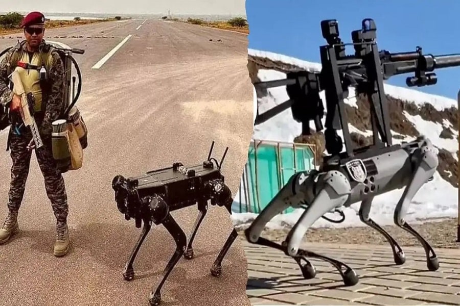 Modernization in the army! The robot dog will defend the country with the soldiers