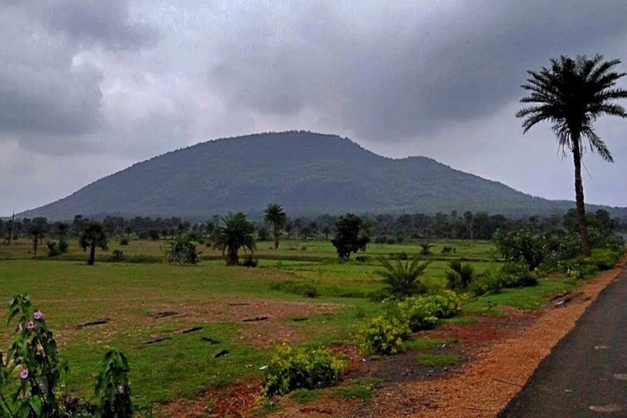 Tourism: Shushunia Hills of Bankura is a blend of green and red soil and is a favorite spot for mountain lovers.